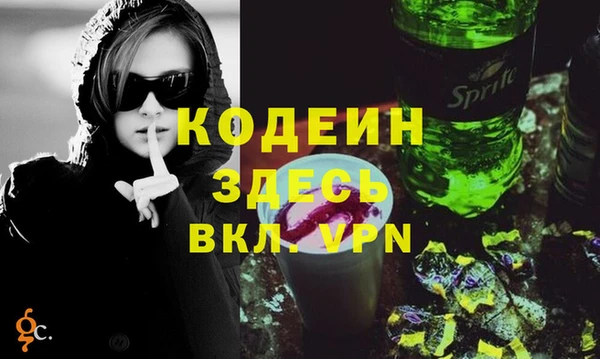 индика Лагань