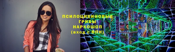 mdpv Медвежьегорск