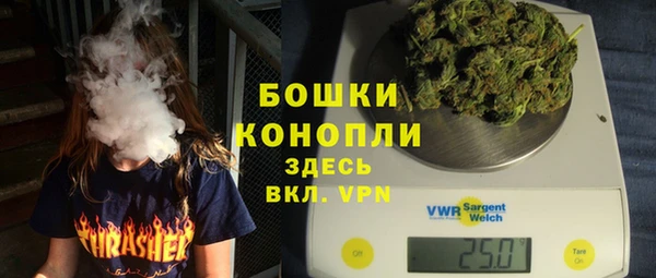 стафф Медногорск