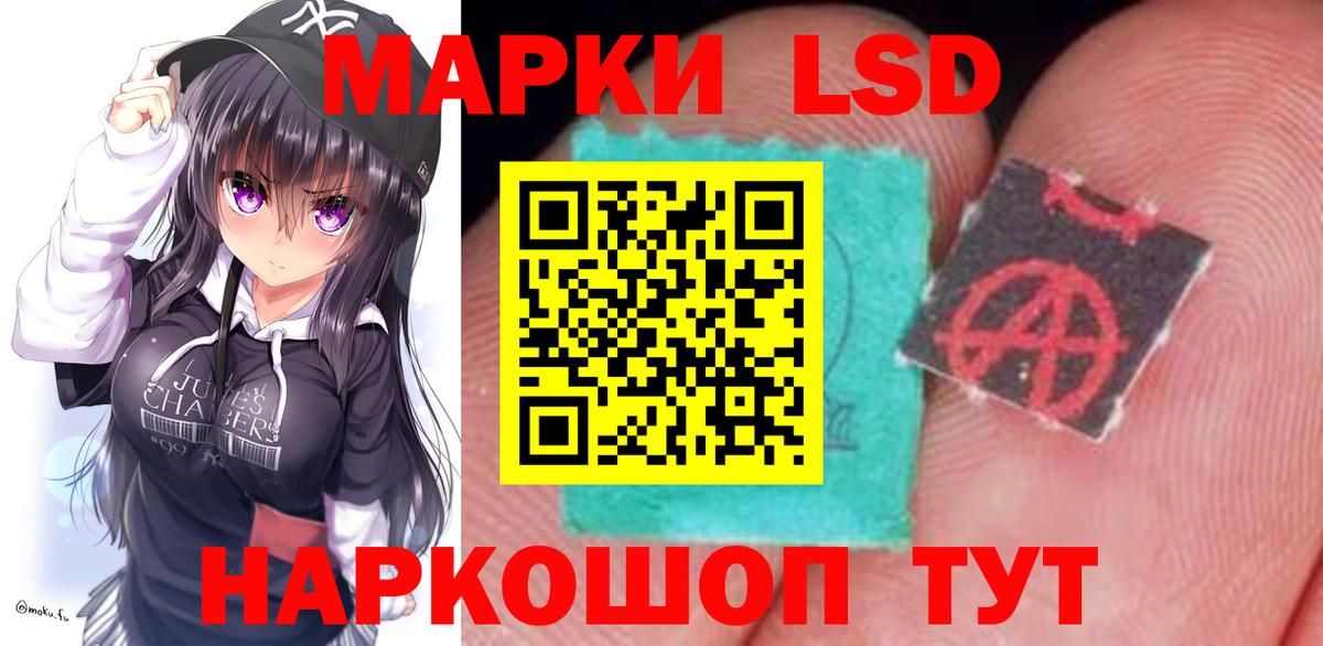 Бошки Шишки Михайловка