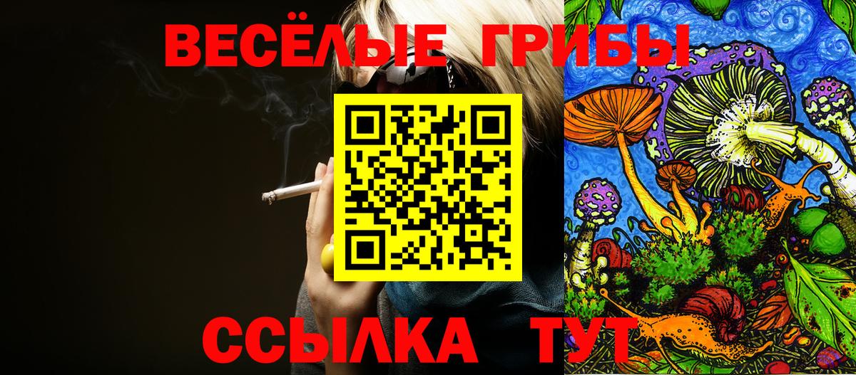 Галлюциногенные грибы GOLDEN TEACHER  Вход с VPN  Михайловка 